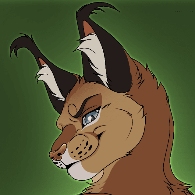 Calis's avatar