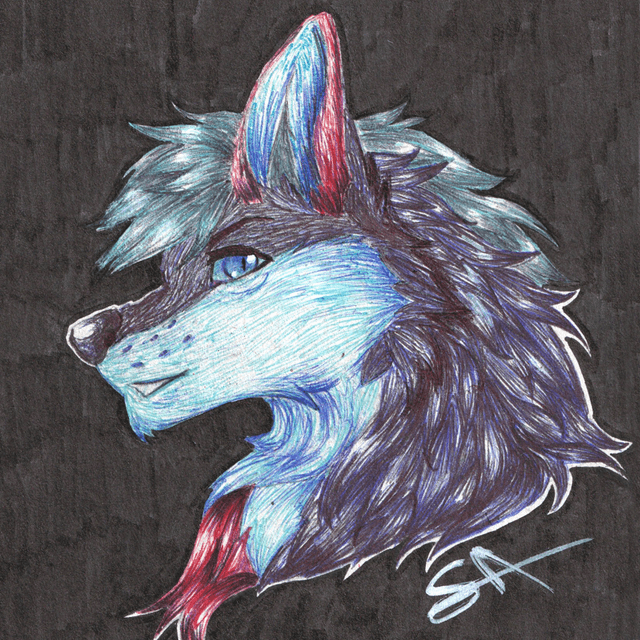 Shin's avatar